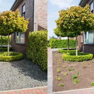 Links ein Schottergarten, rechts der selbe Garten aber neu bepflanzt, ohne den Schotter