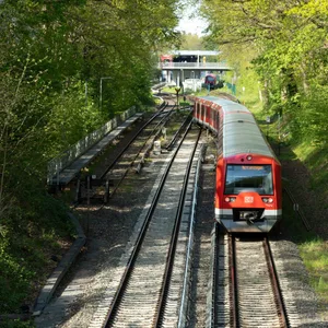 Zu sehen, ist ein Zug der U1, der bei Sonnenschein, über der Erde, durch ein bewaldetes Gebiet fährt
