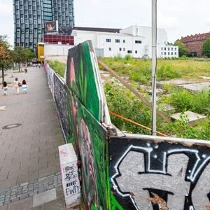 Büsche und Gräser wuchern auf der von einem Bauzaun geschützten Brachfläche am Spielbudenplatz.
