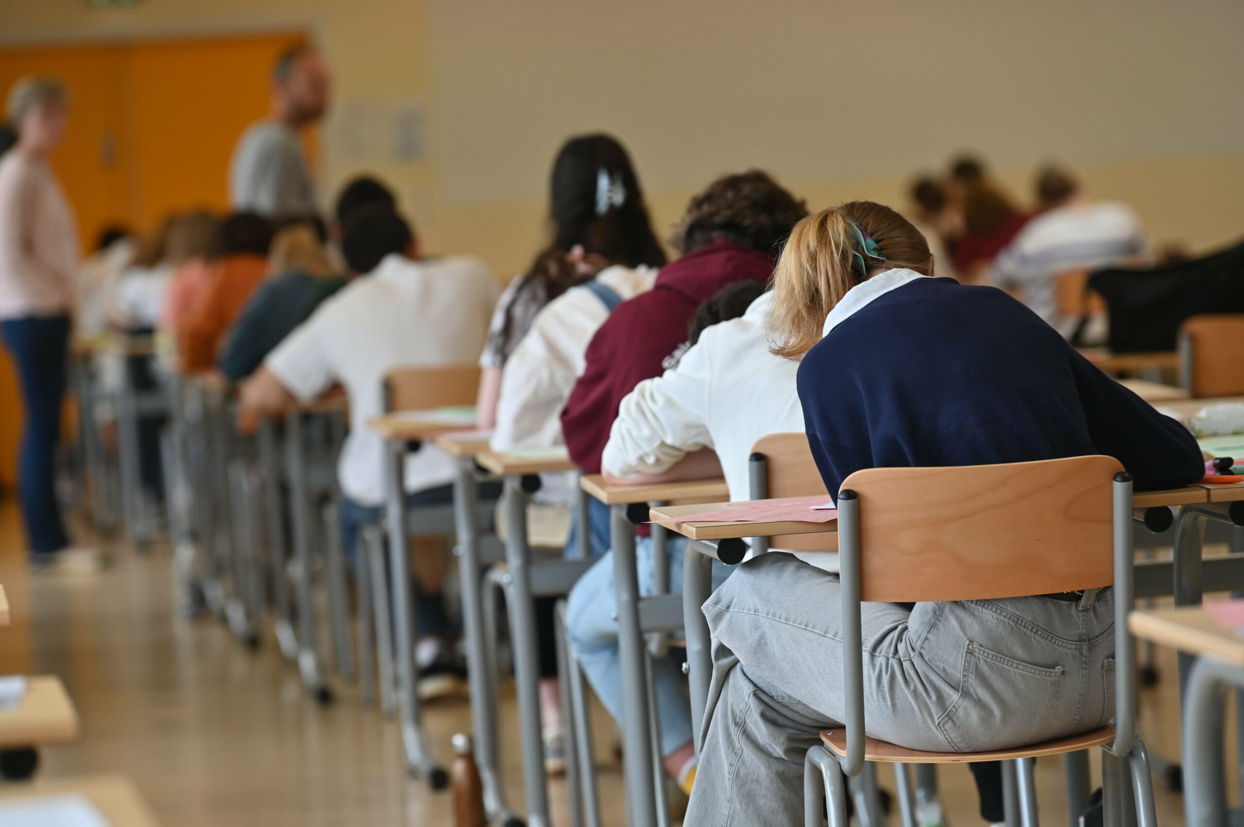 Eine Schulklasse sitzt an Tischen, mit dem Rücken zur Kamera