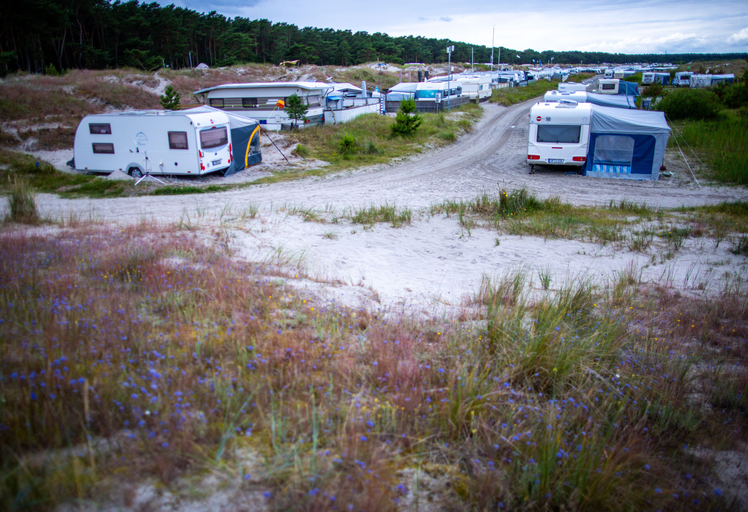 Wohnwagen stehen auf dem Campingplatz Regenbogencamp in den Dünen auf Fischland-Darß-Zingst