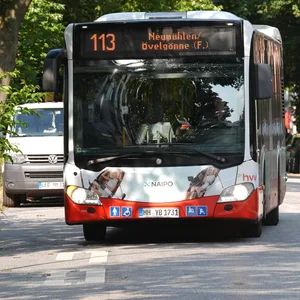 Ein HVV-Bus der Linie 113 fährt durch ein grünes Eimsbüttel