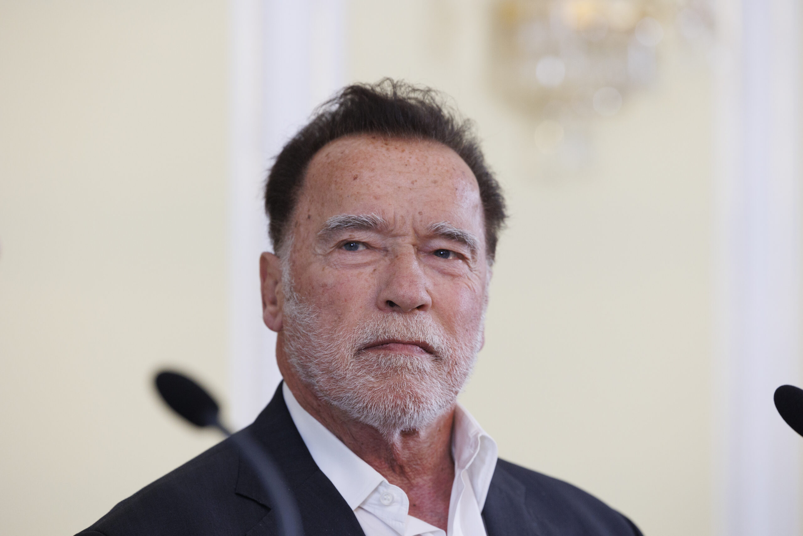 Arnold Schwarzenegger