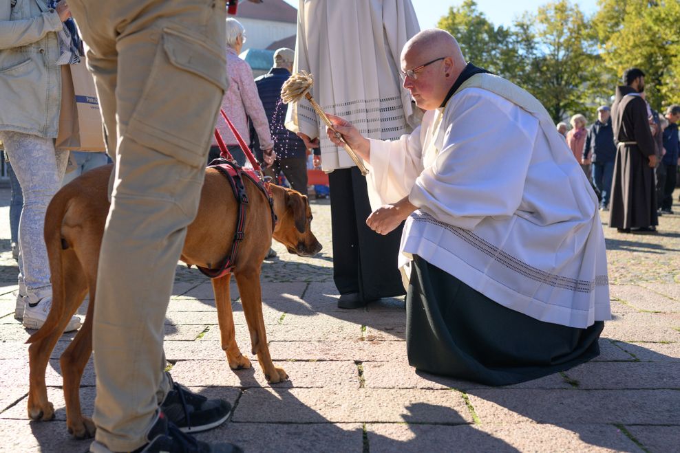 Ein Hund wird von Diakon Carsten Lehmann vor dem Osnabrücker Dom gesegnet.