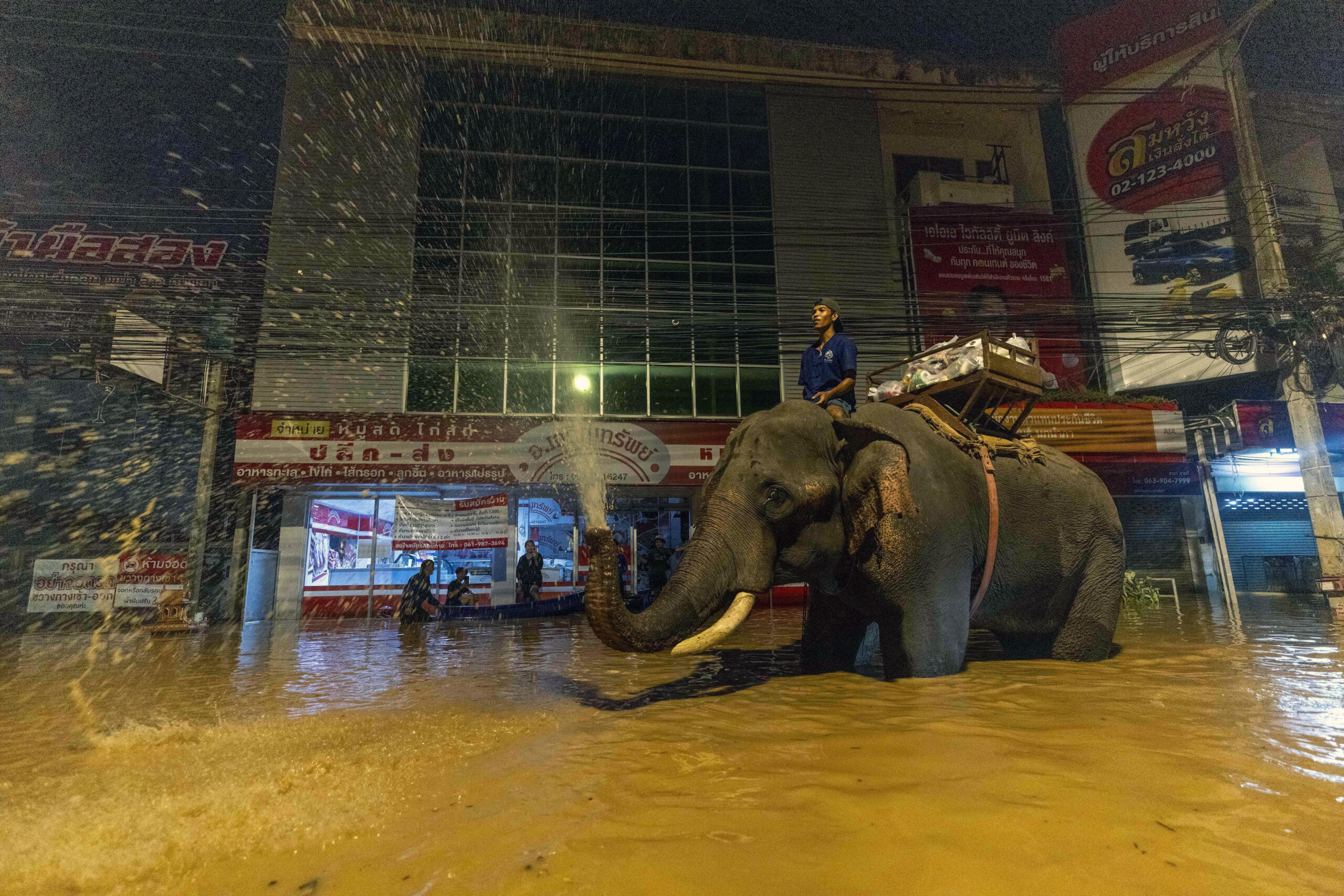 Ein Elefant läuft auch das Hochwasser. Auf seinem Rücken sitzt ein Mensch mit Hilfsgütern