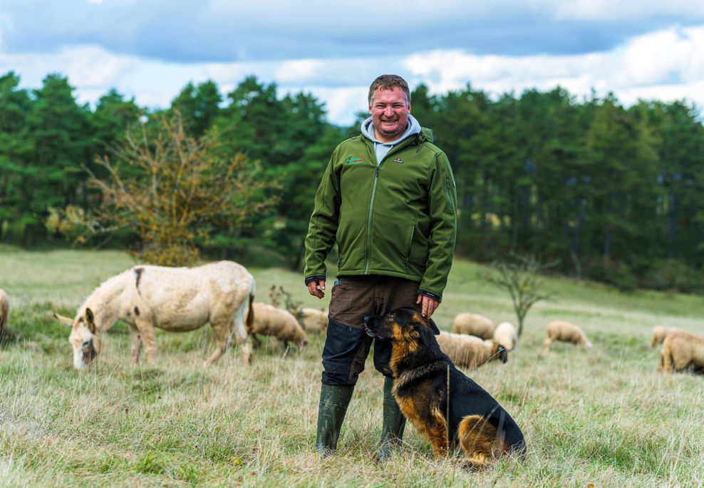 Oliver Spies, Schäfer, steht mit Biene (5), altdeutscher Hütehund, vor der Herde.