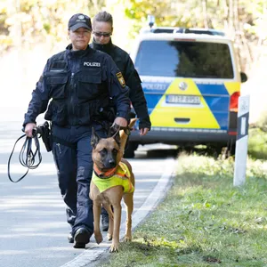 Ein Leichenspürhund im Einsatz (Symbolbild)