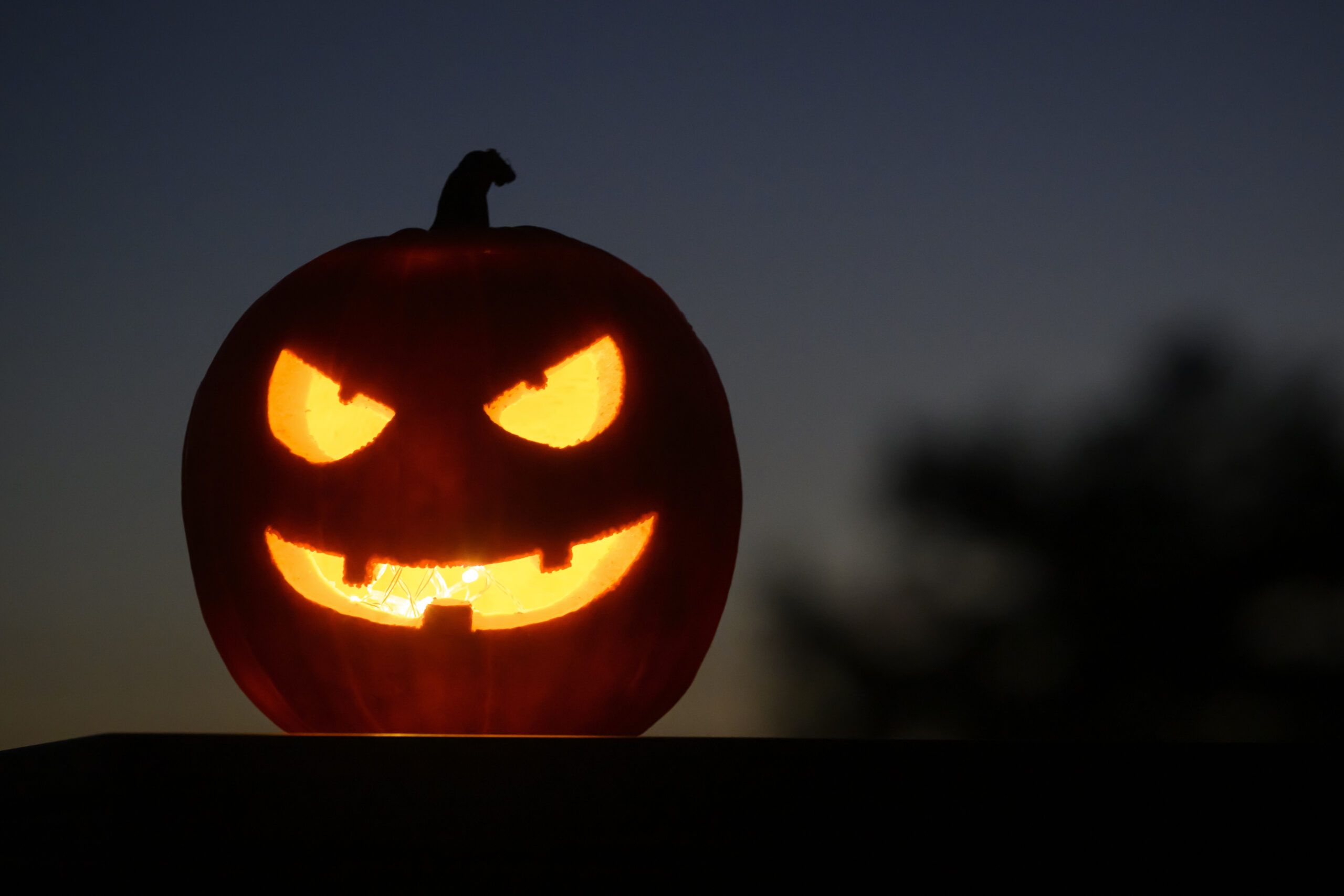 Als Halloween-Dekoration steht ein ausgehöhlter, beleuchteter Kürbis mit einem geschnitzten grinsenden Gesicht in einem Garten.