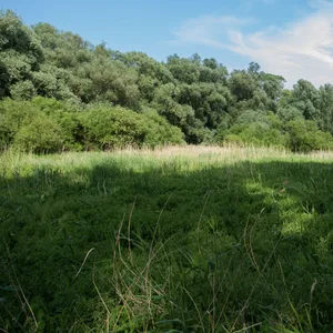 Vollhöfner Weiden