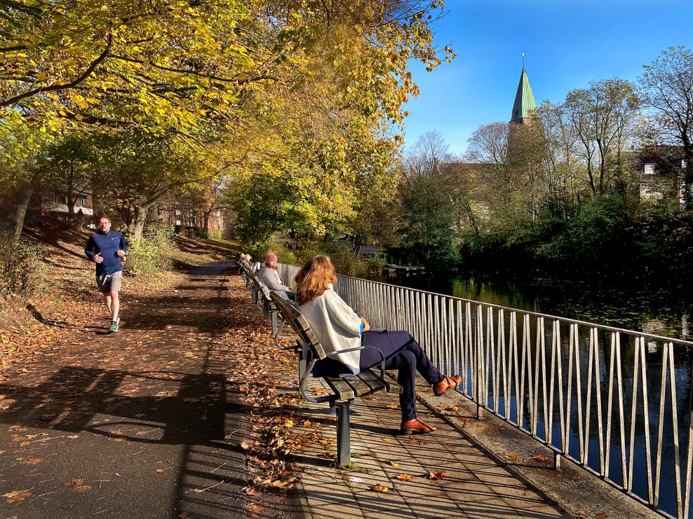 Buntes Hamburg: Hier leuchten die Herbstfarben besonders schön