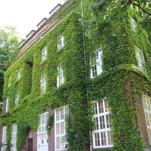 Ziehen in dieses Haus in der Bismarckstraße Mitte 2025 bis zu 30 minderjährige Geflüchtete?