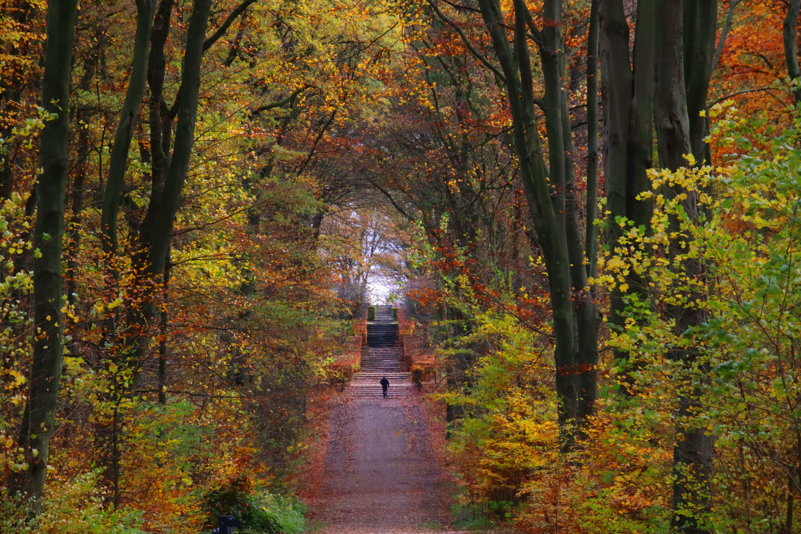 Da geht einem doch das Herbst-Herz auf. Endlich wieder durch bunte Landschaften, wie hier im Volkspark, spazieren. Hach ...