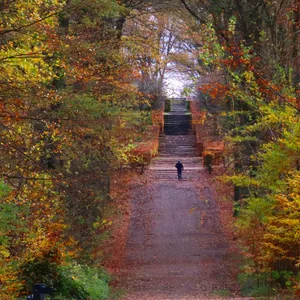 Da geht einem doch das Herbst-Herz auf. Endlich wieder durch bunte Landschaften, wie hier im Volkspark, spazieren. Hach ...
