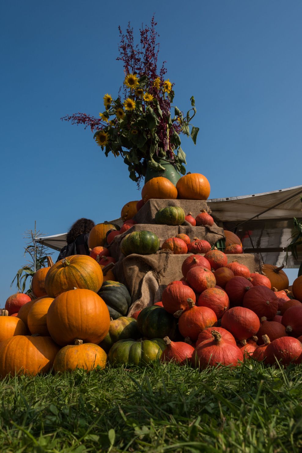 Herrlich, endlich Herbst in Hamburg! 20 Dinge, auf die man sich freuen kann