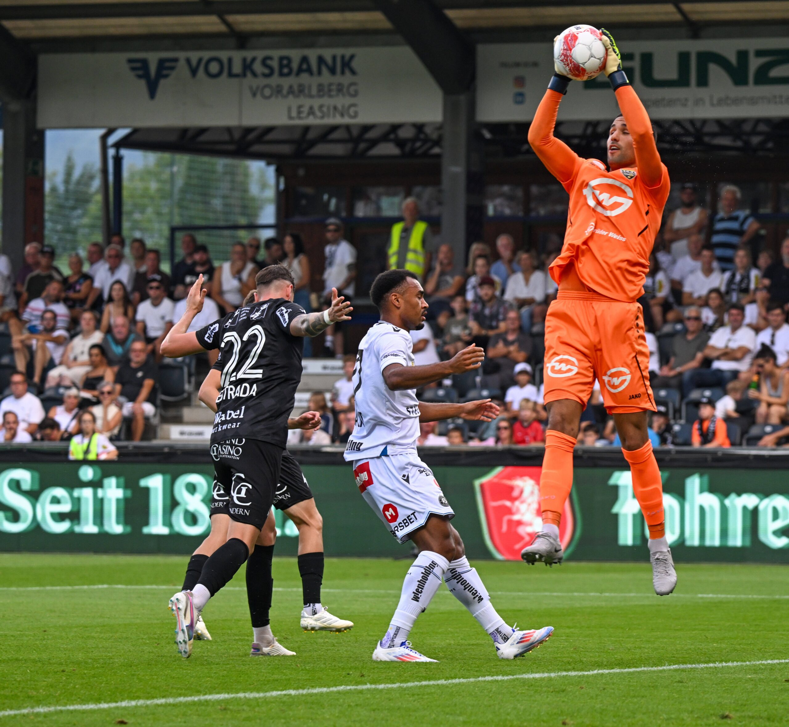 Dejan Stojanovic im Tor des SCR Altach