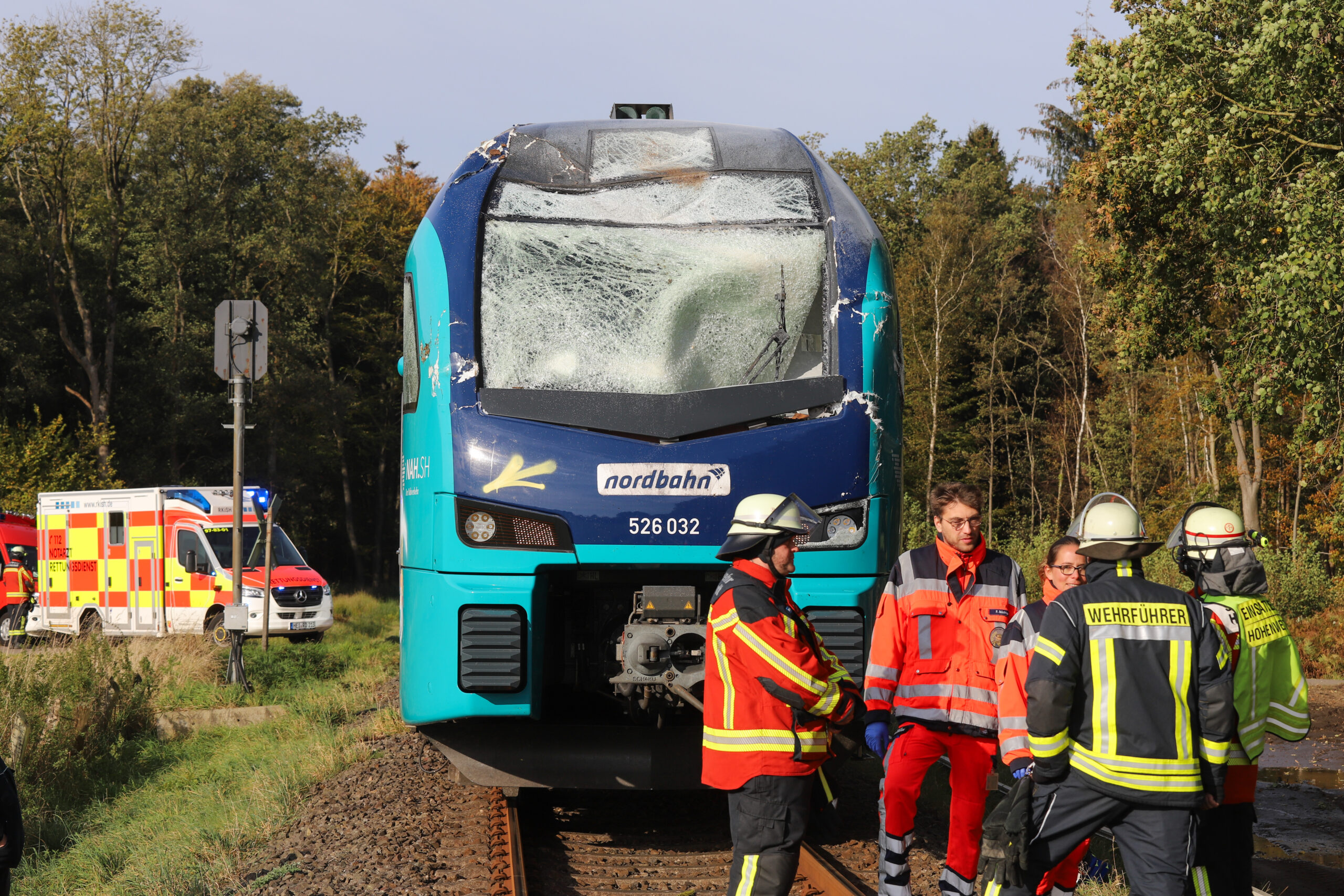 Regionalzug kolliert bei Hohenweststedt mit Baum – Bahnverkehr unterbrochen