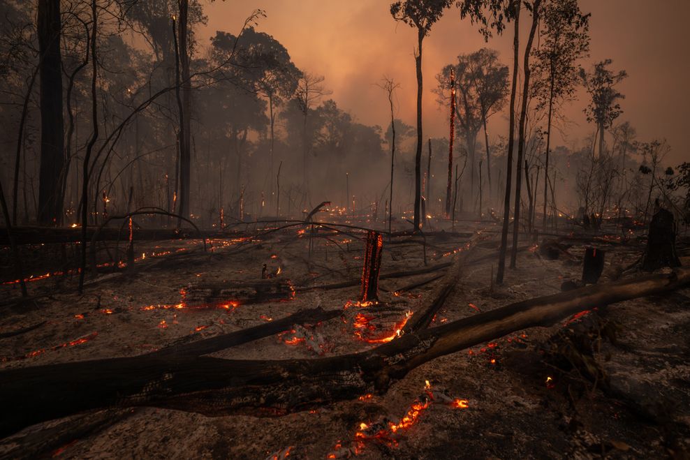 Ein brennender Regenwald im Amazonas