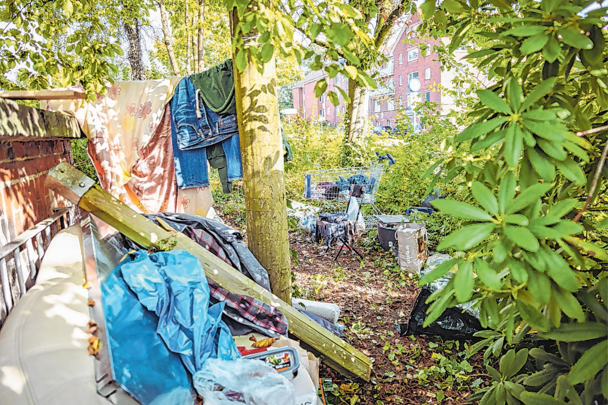 Das Camp befand sich mitten auf der Verkehrsinsel.