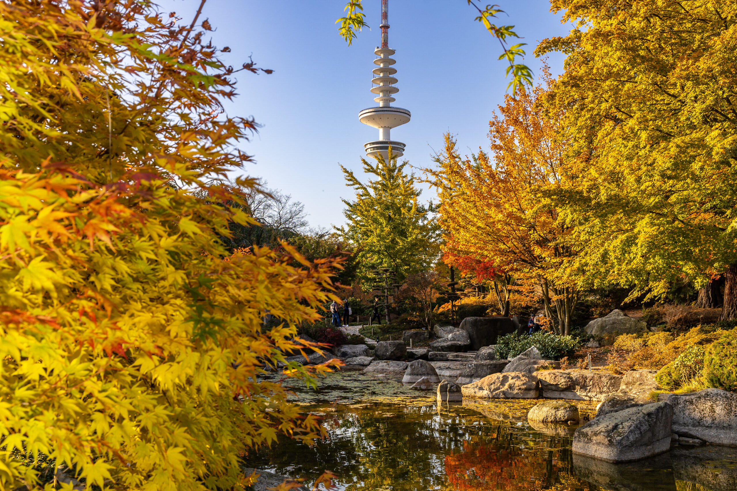 Noch leuchtet Planten un Blomen – doch mit dem „Goldenen Oktober“ ist wohl bald Schluss.