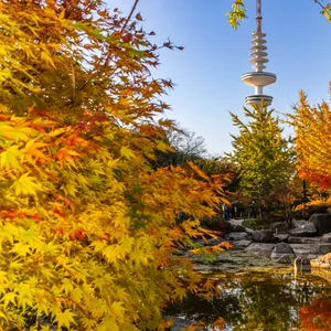 Noch leuchtet Planten un Blomen – doch mit dem „Goldenen Oktober“ ist wohl bald Schluss.