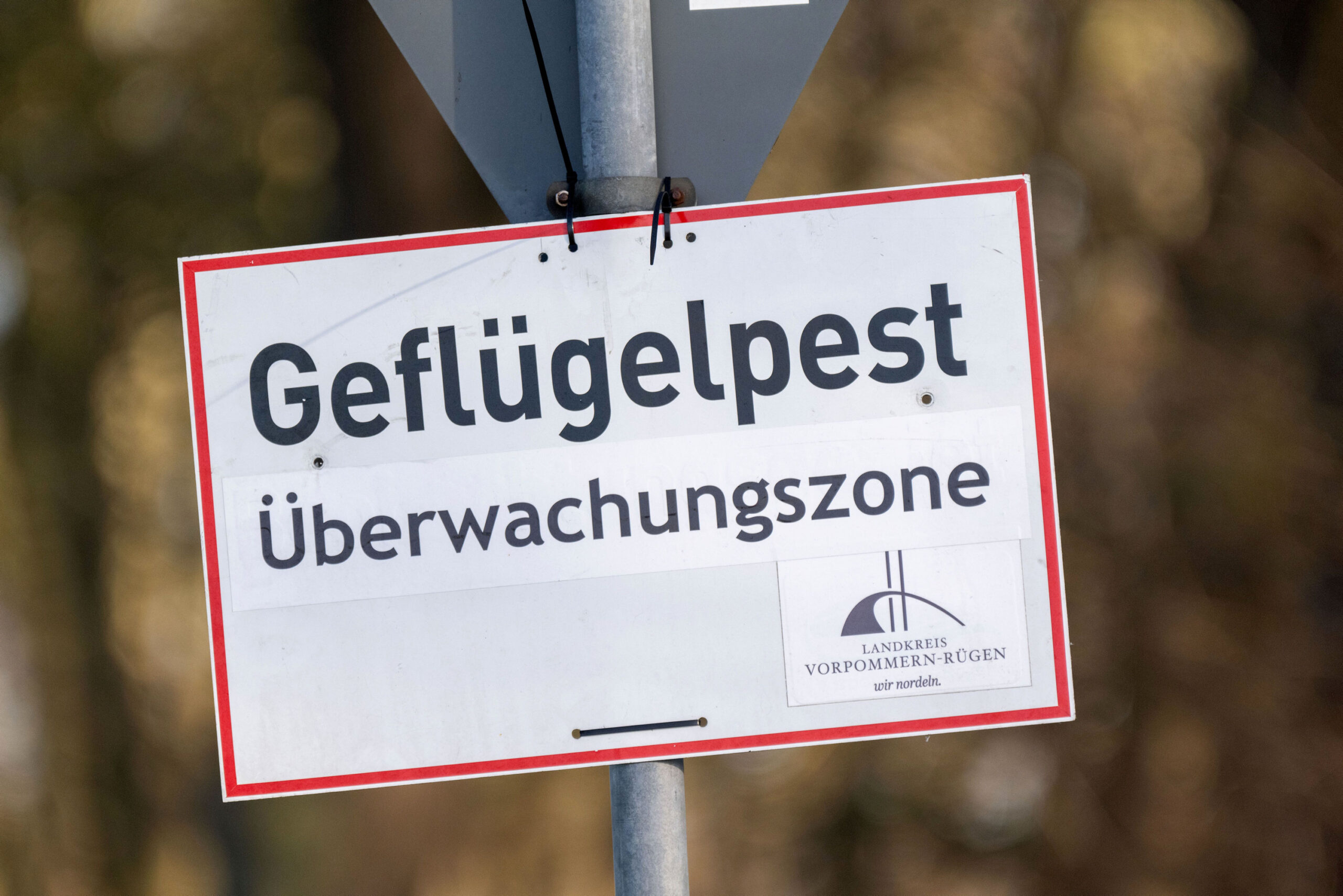 Ein Schild warnt in Mecklenburg-Vorpommern vor der Vogelgrippe (Symbolbild).