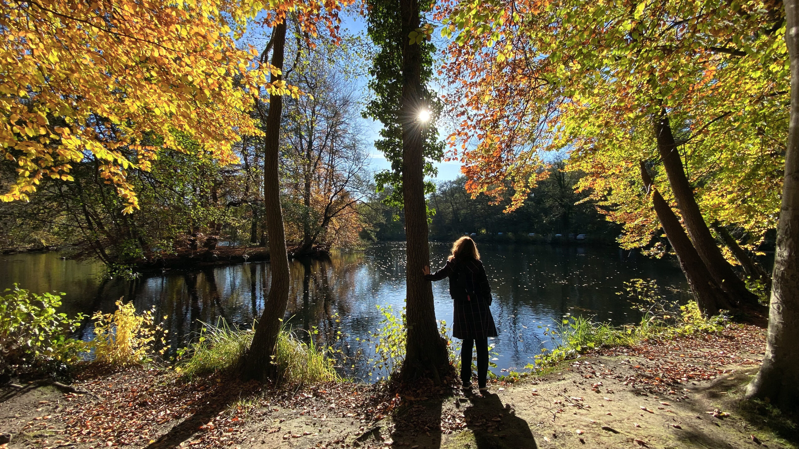 Herbst in hamburg