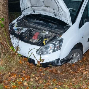 Ein weißes Auto steht zerdellt mit geöffneter Motorhaube vor einem Baum