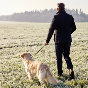 Ein Mann der mit seinem Hund spazieren geht von hinten