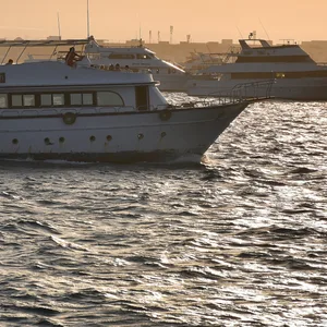 ie Urlauber waren auf einem Boot unterwegs, das Taucher zu Korallenriffen bringt (Symbolfoto).