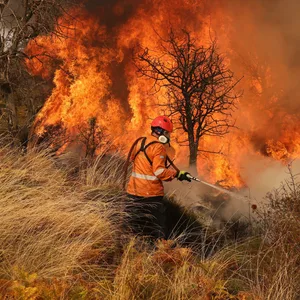 Eine Person beim Löschen eines Brandes in Griechenland. Hinter dem Menschen in der orangenen Jacke, sind meterhohe Flammen