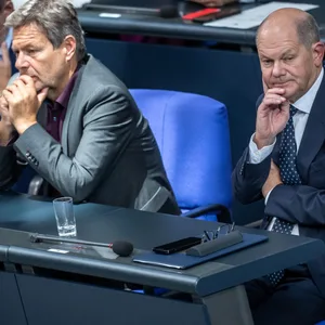 Drei Männer mit beosrgten Mienen im Parlament