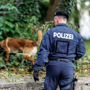 Spürhund