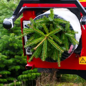Weihnachtsbaum in Palettiermaschine