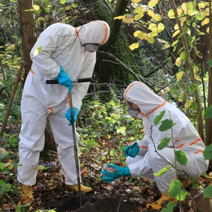 Dioxin Boberg