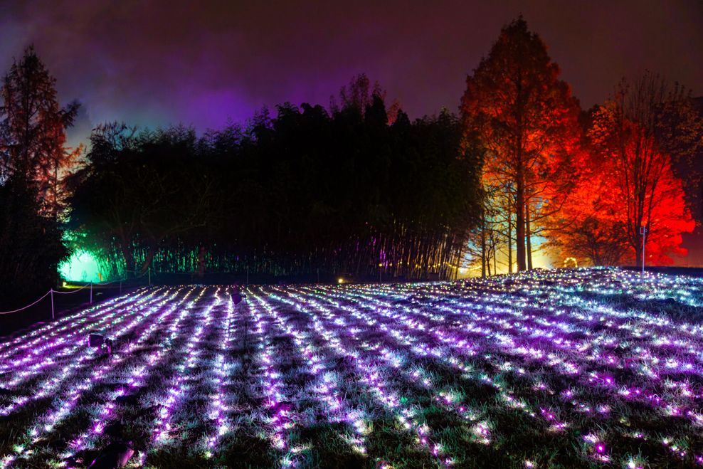 Lichtermeer im Christmas Garden