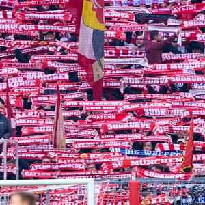 Bayern München Fans halten ihren Schal nach oben