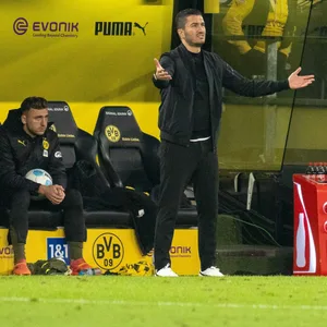 Nuri Sahin