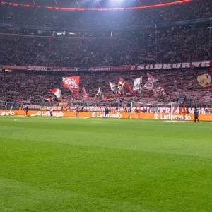 Fans in der Allianz Arena