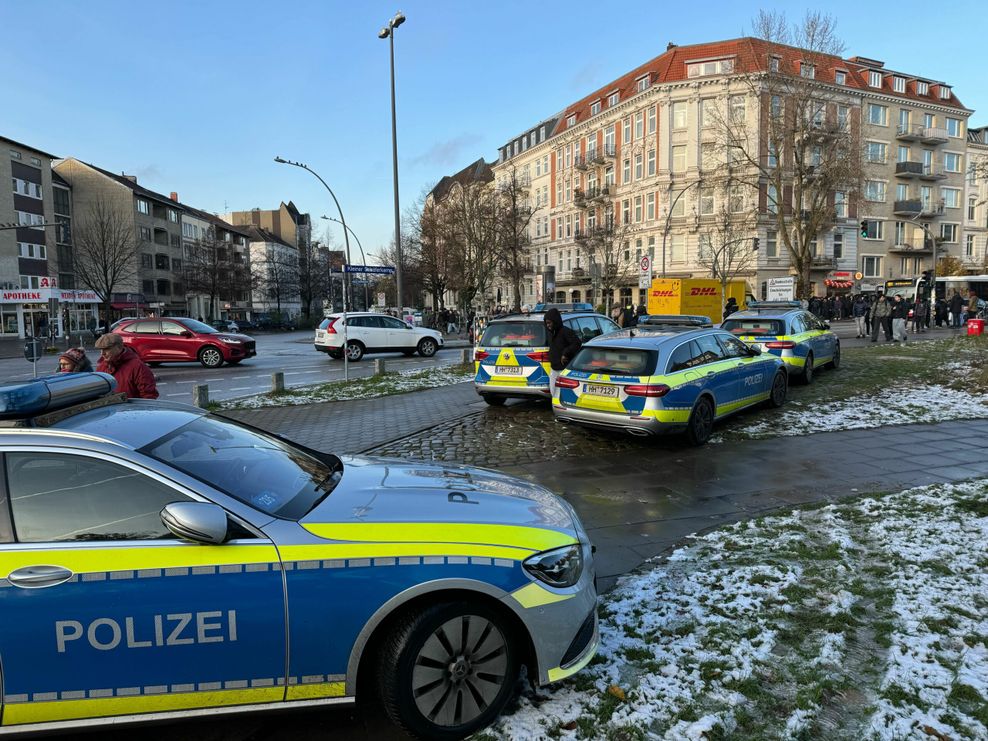 Streifenwagen stehen im Kleinen Schäferkamp.