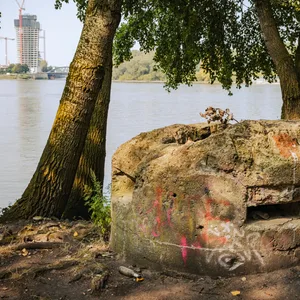 Grusel-Fotomotiv am Ende des Peuter Elbdeichs: ein kleiner Rundbunker und im Hintergrund Elbbrücken und Elbtower.