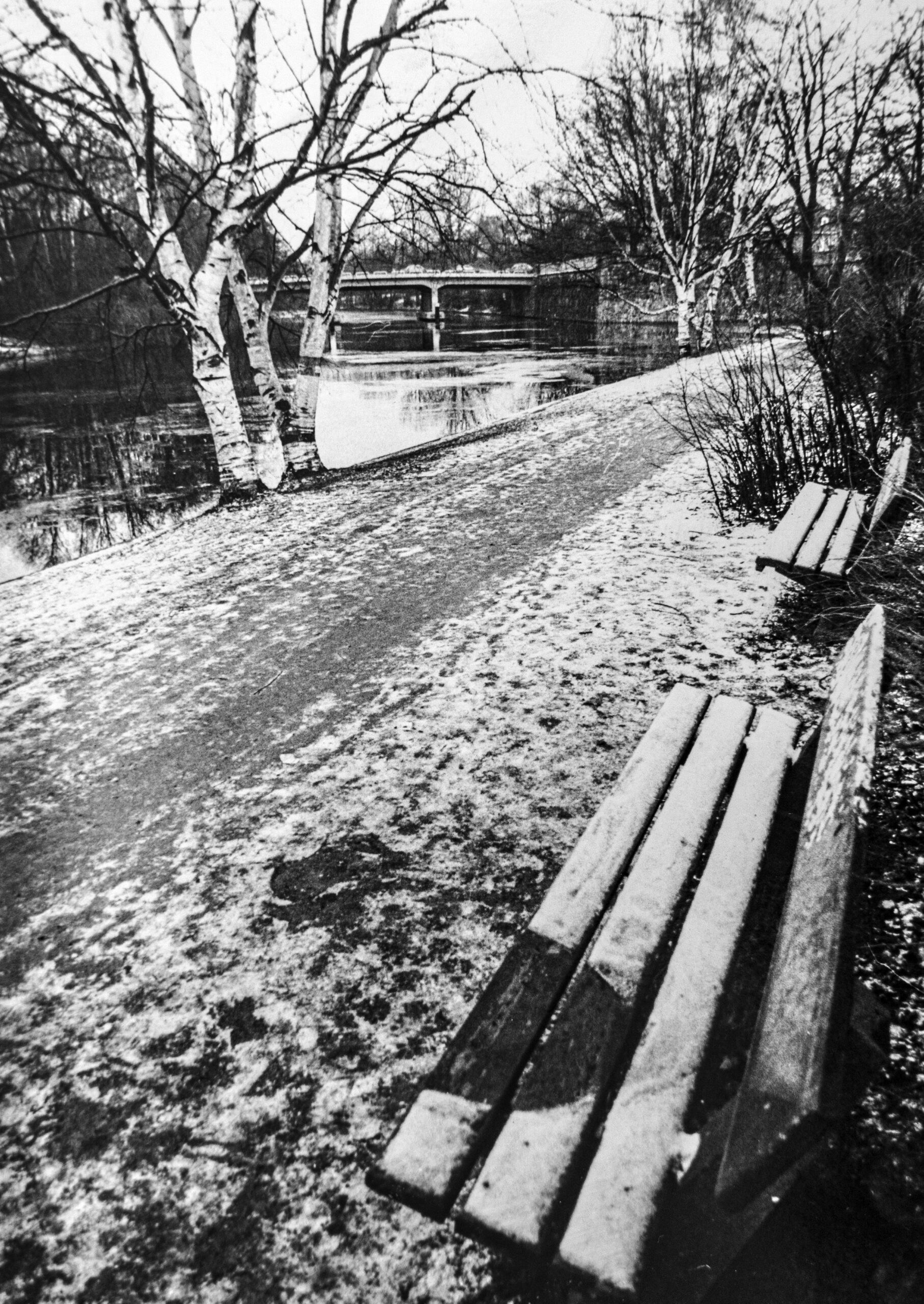 Auf dieser Bank am Alsterlauf unweit der Brabandstraße nahm sich Axel Springer jun.  1980 das Leben. Dort wo er saß, ist der Schnee geschmolzen.