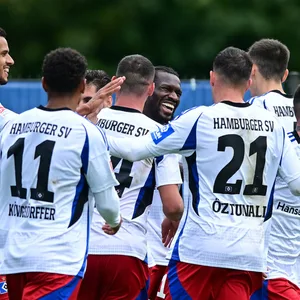 Mit insgesamt 33 Profis verfügt der HSV über einen XXL-Kader. Vieles spricht dafür, dass sich das Aufgebot im Winter nochmals verändern wird.