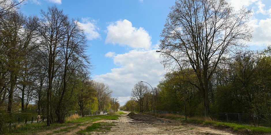 Breite Schneise mit Bäumen rechts und links