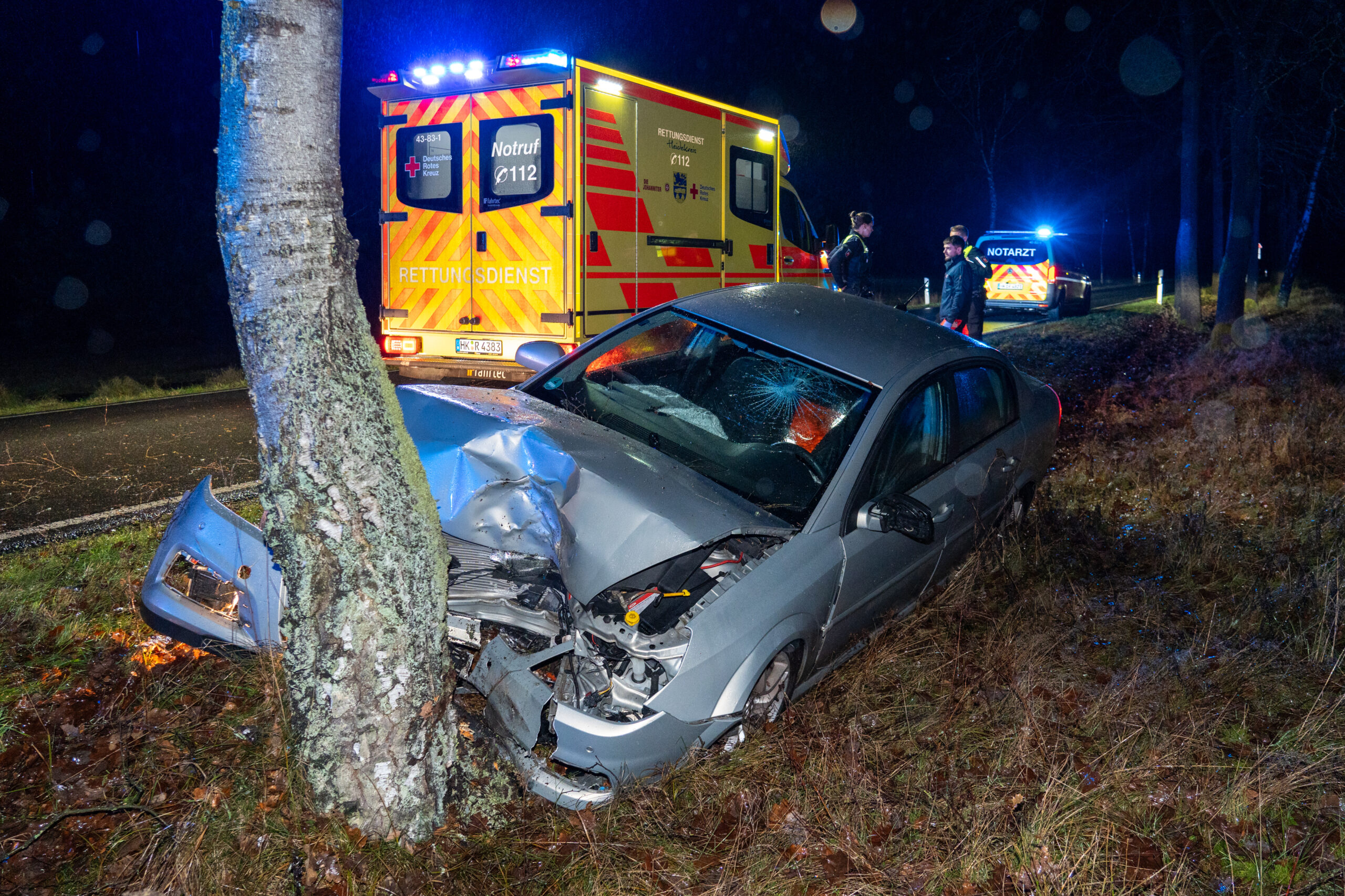 Unfall bei Ausweichmanöver in Schneverdingen: Der Opel prallte gegen einen Baum.