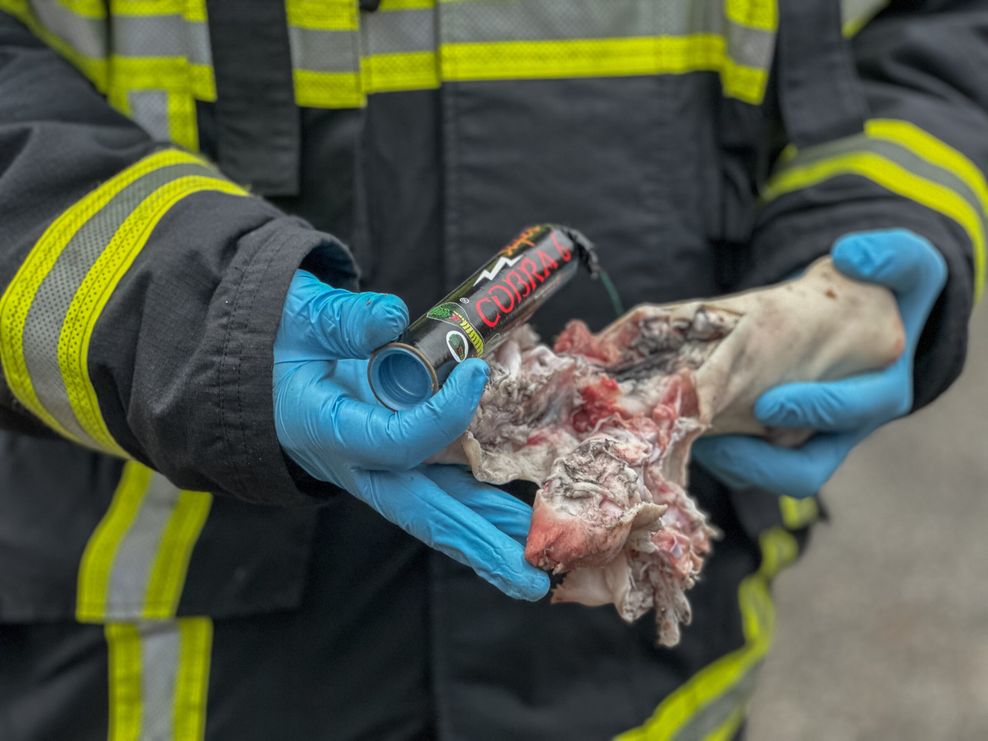 Die Feuerwehr benutzte Schweinepfoten, um die Auswirkungen der Sprengkraft zu demonstrieren.