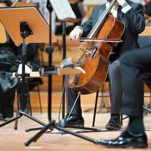 Musiker der Symphoniker Hamburg bei einer Generalprobe im Großen Saal in der Laeiszhalle.