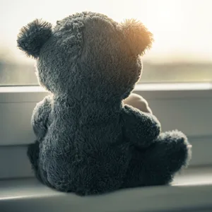Teddybär an einem Fenster