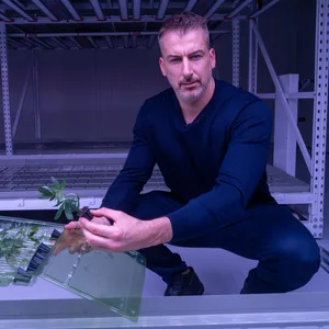 Christian Tonn, Geschäftsführer der Deutschen Anbaugesellschaft (DAG), zeigt Hanfstecklinge (Cannabisstecklinge) in einem Anbaumodul.