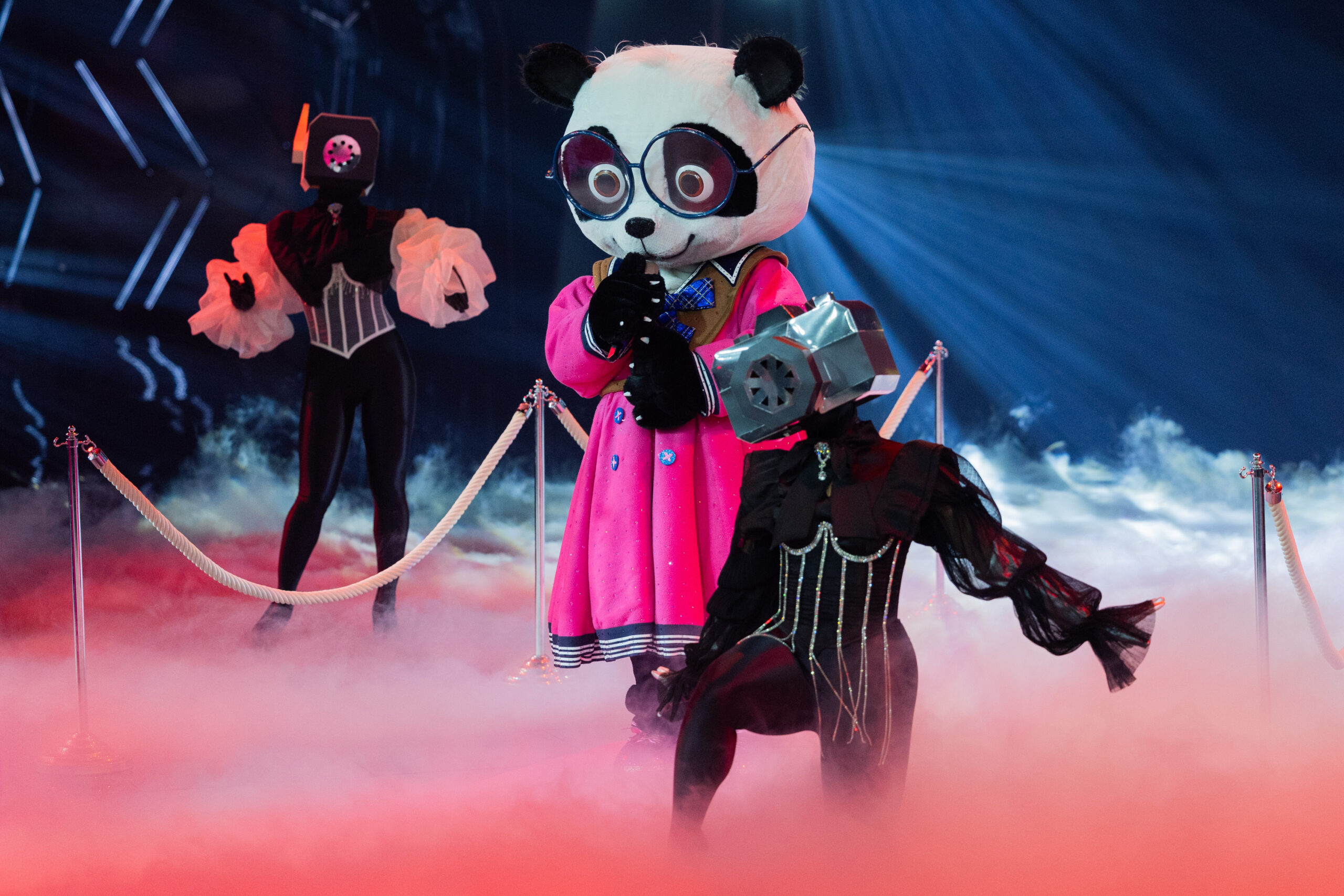 Der Panda steht im „The Masked Singer“-Finale auf der Bühne.