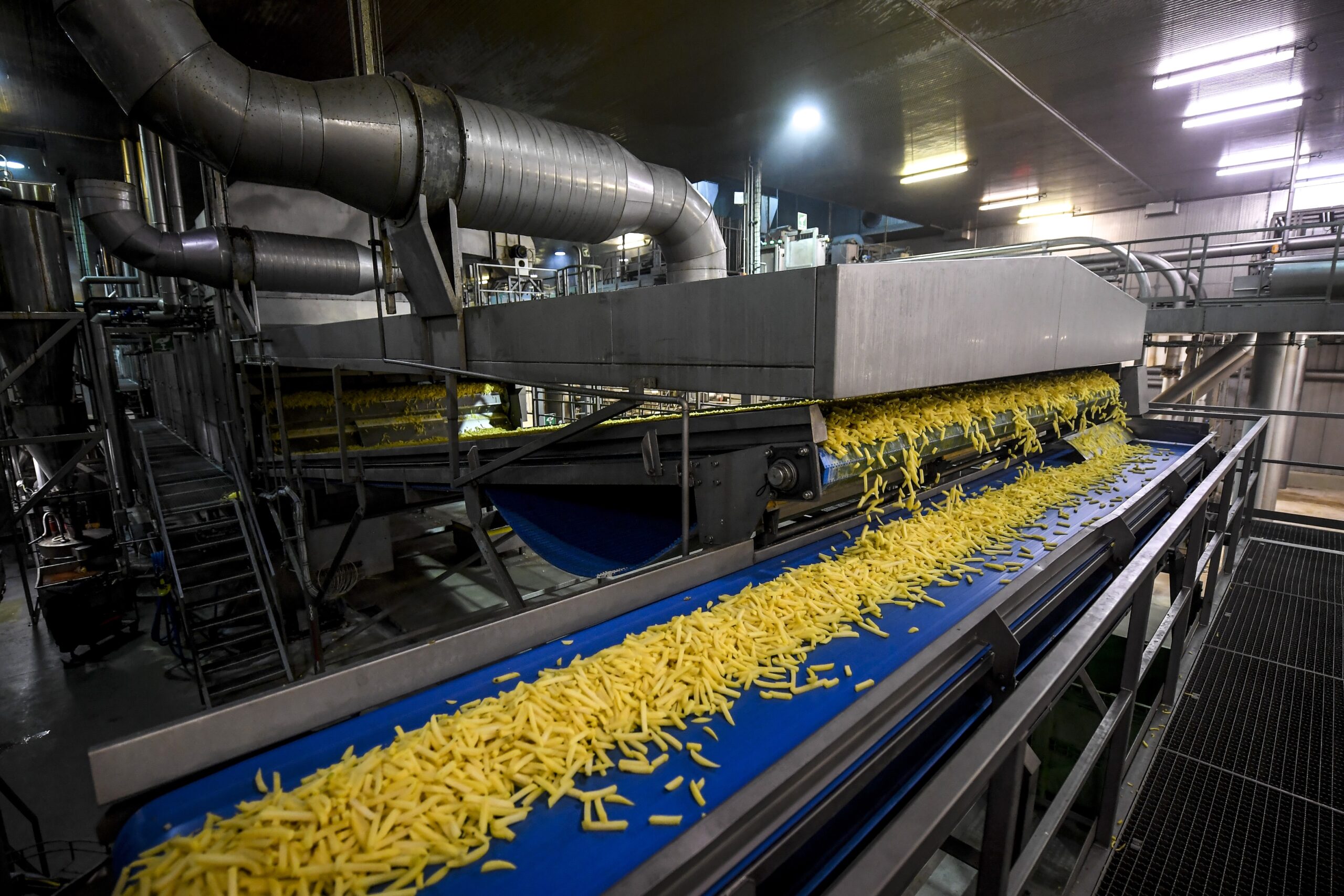 Eine Pommes-Fabrik des kanadischen Herstellers McCain